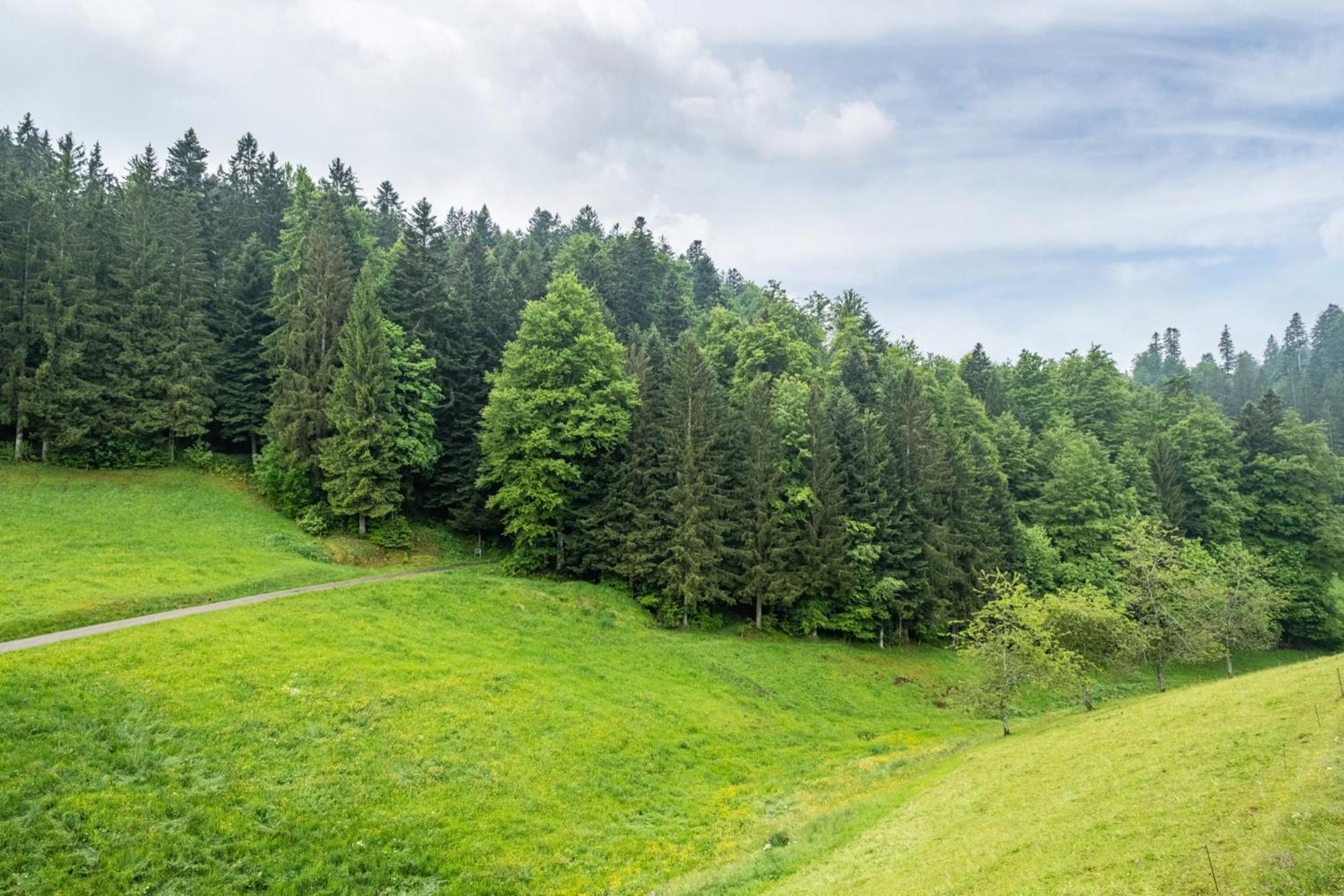 Villa Schreinerhäusle Himmelreich Exterior foto