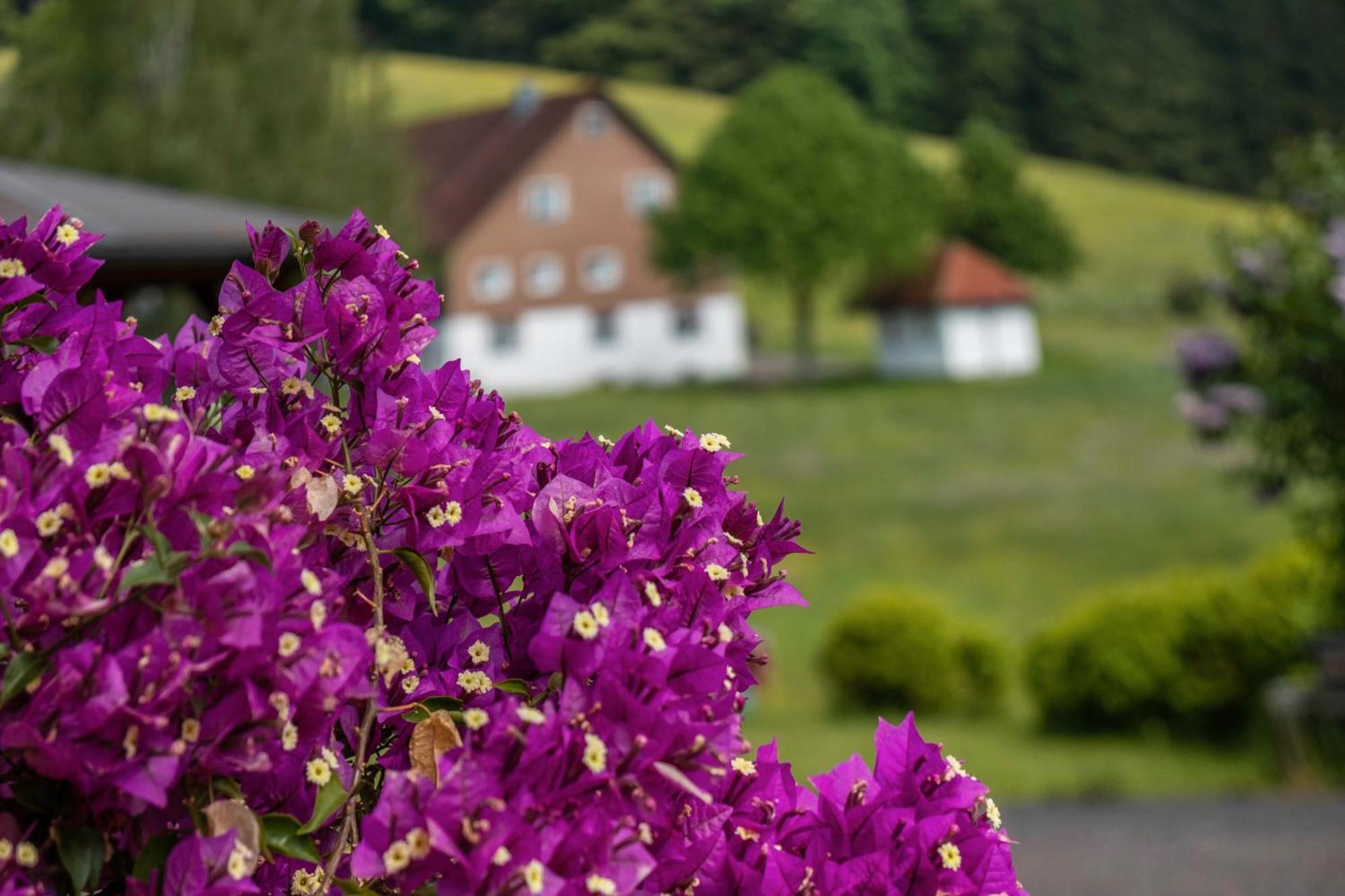Villa Schreinerhäusle Himmelreich Exterior foto