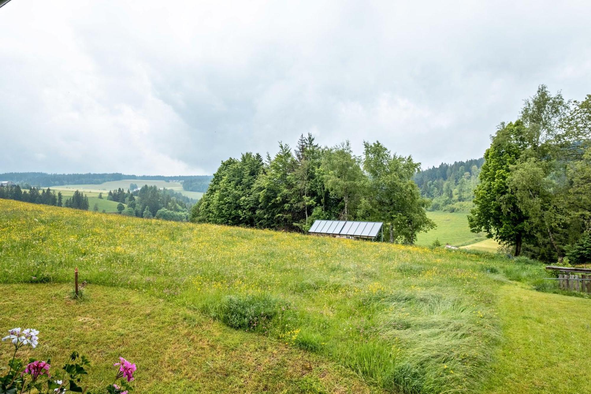 Villa Schreinerhäusle Himmelreich Exterior foto